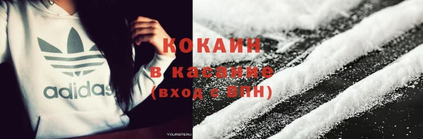 крисы Алзамай