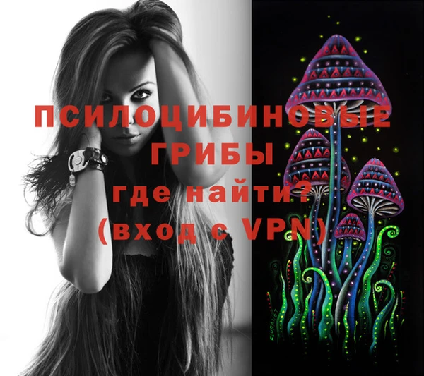 СК Абдулино