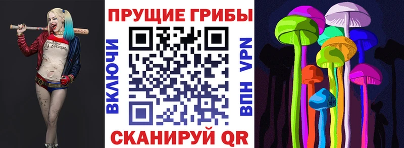 Псилоцибиновые грибы мицелий  гидра как зайти  Комсомольск-на-Амуре 