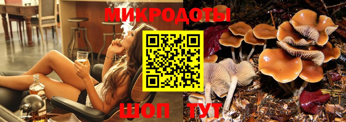 Комсомольск-на-Амуре  Псилоцибиновые грибы мицелий  Вход с VPN 